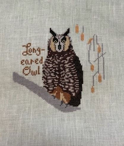 MaryEllen B Long Eared Owl Lindy Stitches