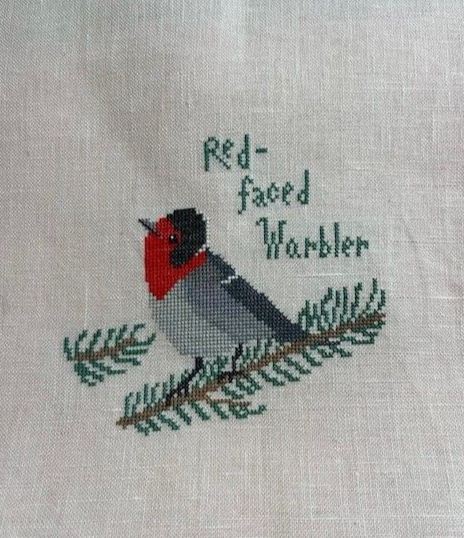 MaryEllen B Red Faced Warbler