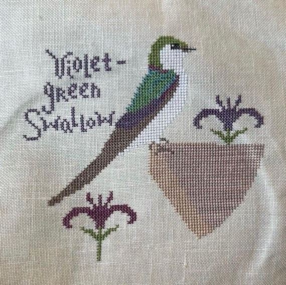 MaryEllen B Violet Green Swallow